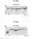 Fig. 22 - Signal processing device, signal processing method, and program therefor