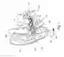 Fig. 02 - Non-occluding audio headset positioned in the ear canal