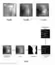 Fig. 06 - Method and device for displaying images