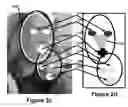 Fig. 06 - Digital image processing using face detection information