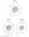 Fig. 02 - Optical fiber and waveguide