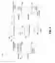 Fig. 05 - SYSTEM AND METHOD FOR OPTICAL TRANSMISSION