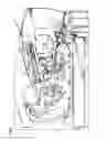 Fig. 02 - Image forming apparatus