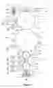 Fig. 02 - High speed electrographic printing