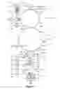 Fig. 03 - High speed electrographic printing