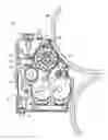 Fig. 01 - Powder transport with a tapered feed roller of an electrostatographic printer