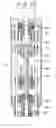 Fig. 35 - Liquid discharging device