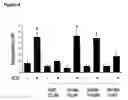 Fig. 09 - MODULATION OF SYNAPTOGENESIS