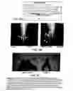 Fig. 08 - Pharmaceutical compositions for treating or preventing bone conditions
