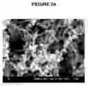 Fig. 06 - SUBMICRONIZATION OF PROTEINS USING SUPERCRITICAL FLUIDS