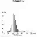 Fig. 07 - SUBMICRONIZATION OF PROTEINS USING SUPERCRITICAL FLUIDS