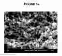 Fig. 09 - SUBMICRONIZATION OF PROTEINS USING SUPERCRITICAL FLUIDS