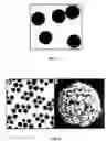 Fig. 04 - NANOCLUSTERS FOR DELIVERY OF THERAPEUTICS