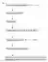 Fig. 02 - Disease and Pest Control Agent Containing Dissolved Microbubles Consisting of Oxygen and Ozone