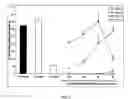 Fig. 09 - Method for the preparation of phytoprogestogenic extracts from rhizoma ligusticum chuanxiong and uses thereof