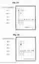 Fig. 02 - Kits and Methods for Assessing Leptin-Mediated Lipid Metabolism