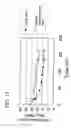Fig. 13 - AMMONIA TRANSPORTER GENE AND USE THEREOF