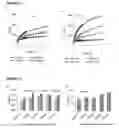Fig. 02 - LOW-INGREDIENT MEAT PRODUCTS AND METHOD FOR THEIR PREPARATION