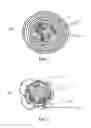 Fig. 02 - Kinetic Beverage for Delivery of Physiologically Active Substances