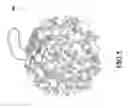 Fig. 06 - Net for making body scrubbing tool