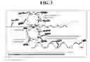 Fig. 04 - Multilayered cellular metallic glass structures and methods of preparing the same
