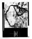 Fig. 32 - MULTIFUNCTIONAL POLYMER COATED MAGNETIC NANOCOMPOSITE MATERIALS