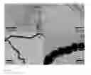 Fig. 37 - MULTIFUNCTIONAL POLYMER COATED MAGNETIC NANOCOMPOSITE MATERIALS