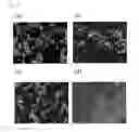 Fig. 08 - Metal fine particles and manufacturing method therefor