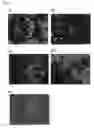 Fig. 09 - Metal fine particles and manufacturing method therefor