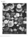 Fig. 02 - Method for producing non-porous core-porous shell silica