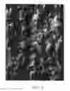 Fig. 03 - Component Made From Aluminium Material With a Partial or Complete Coating of the Surfaces for Brazing and Method for Production of the Coating