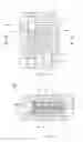 Fig. 07 - Fuel cell having improved contact between separators and gas diffusion layers