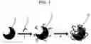 Fig. 02 - METHOD OF COATING BILIRUBIN OXIDASE