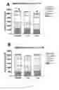 Fig. 03 - COMPOSITIONS AND METHODS FOR INDUCING SATIETY AND REDUCING CALORIC INTAKE