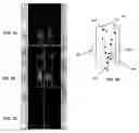 Fig. 06 - Particle switching systems and methods using acoustic radiation pressure