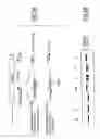 Fig. 06 - Identification of polymorphisms in the epcr gene associated with thrombotic risk