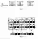 Fig. 04 - Method for Preparing Polynucleotides for Analysis