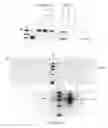 Fig. 22 - Optical sorting method
