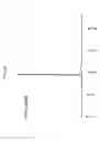 Fig. 44 - Functional molecule, functional molecule synthesizing amidite and target substance analysis method