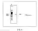 Fig. 16 - METHOD OF DETECTING HUMAN CYTOCHROME P450 (CYP) 2D6 GENE MUTATION
