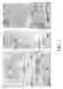 Fig. 06 - Methods and compositions for detecting spermatozoa or semen in a sample
