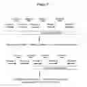Fig. 06 - ANALYSIS OF NUCLEIC ACIDS BY DIGITAL PCR