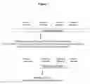 Fig. 08 - ANALYSIS OF NUCLEIC ACIDS BY DIGITAL PCR