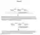 Fig. 09 - ANALYSIS OF NUCLEIC ACIDS BY DIGITAL PCR