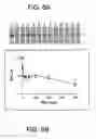 Fig. 07 - Determination of AM-binding proteins and the association of adrenomedullin (AM) therewith