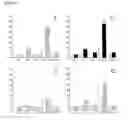 Fig. 04 - AGGLUTINATION-BASED METHOD FOR FAST DETECTION, ISOLATION AND QUANTIFICATION OF APOPTOTIC CELLS
