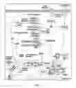 Fig. 02 - Cytochrome c protein and assay