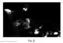 Fig. 05 - Cytochrome c protein and assay