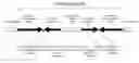 Fig. 01 - Methods, compositions and kits for one-step DNA cloning using DNA topoisomerase