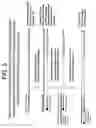 Fig. 06 - Synthesis of tagged nucleic acids